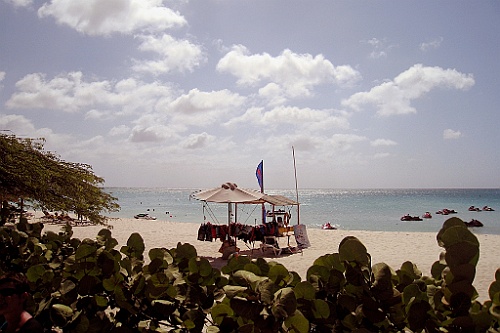 cruise14 (288)